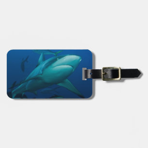 Étiquette À Bagage Étiquette de bagage de requin