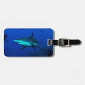 Étiquette À Bagage Étiquette de bagage de requin de récif (Devant horizontal)