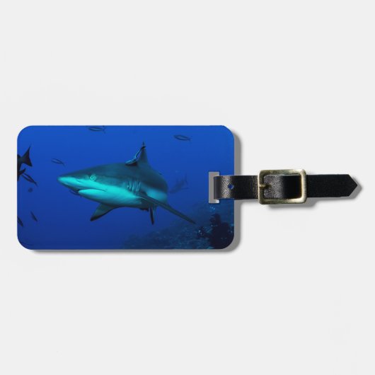 Étiquette À Bagage Étiquette de bagage de requin de récif (Devant horizontal)