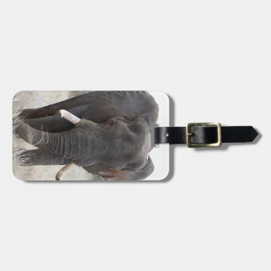 Étiquette À Bagage Étiquette de bagage d'éléphant (Devant horizontal)