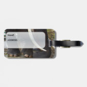 Étiquette À Bagage Étiquette de bagage d'éléphant (Dos horizontal)