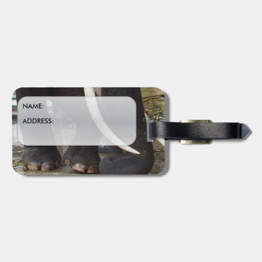 Étiquette À Bagage Étiquette de bagage d'éléphant (Dos horizontal)