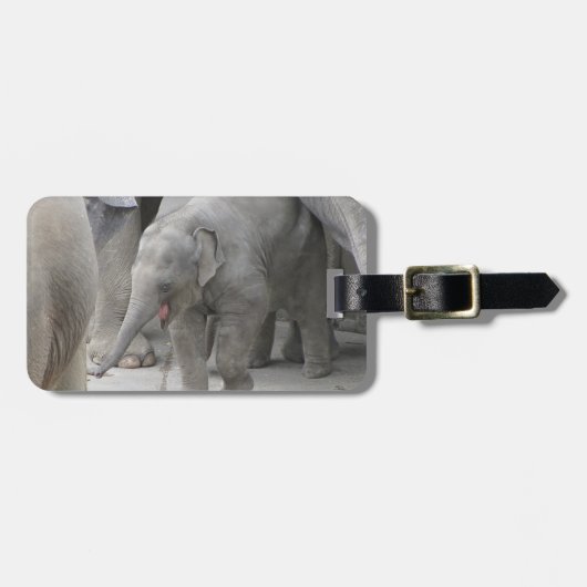 ÉTIQUETTE À BAGAGE ÉTIQUETTE DE BAGAGE D'ÉLÉPHANT DE BÉBÉ (Devant horizontal)