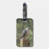 Étiquette À Bagage Étiquette de bagage du faucon du tonnelier (Dos Vertical)