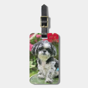 Étiquette À Bagage Étiquette de bagage Fille Shih Tzu