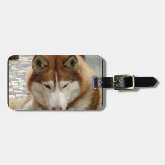Étiquette À Bagage Étiquette de bagage Husky Brun (Devant horizontal)