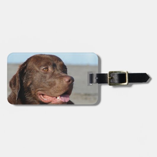 Étiquette À Bagage Étiquette de bagage Labrador Retriever (Devant horizontal)