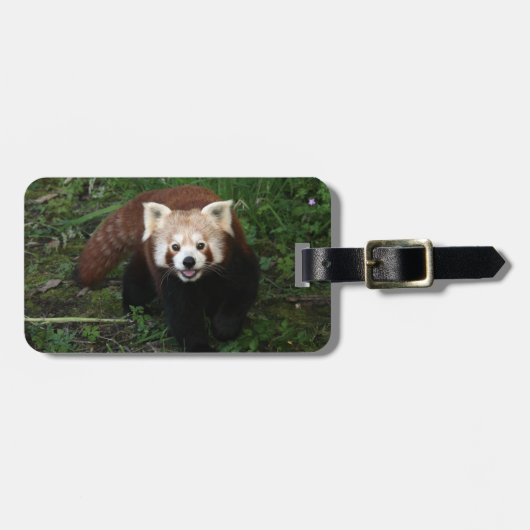 Étiquette À Bagage Étiquette de bagage - panda rouge (Devant horizontal)