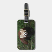 Étiquette À Bagage Étiquette de bagage - panda rouge (Devant Vertical)