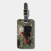 Étiquette À Bagage Étiquette de bagage - panda rouge 3 (Devant Vertical)