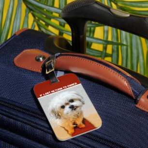 Étiquette À Bagage Étiquette de bagage pour chien Malshi
