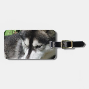 Étiquette À Bagage Étiquette de bagage Profil Husky