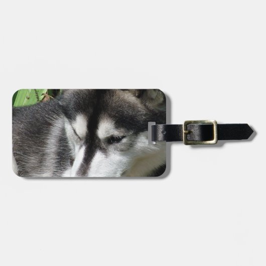 Étiquette À Bagage Étiquette de bagage Profil Husky (Devant horizontal)