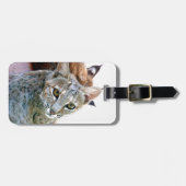 Étiquette À Bagage Étiquette de bagages de chat sauvage du regard (Devant horizontal)