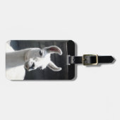 Étiquette À Bagage Étiquette de sourire de bagage de lama (Devant horizontal)