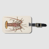 Étiquette À Bagage Étiquette des Caraïbes de bagage de langouste (Devant Horizontal)
