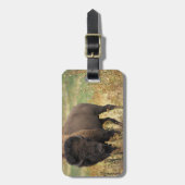 Étiquette À Bagage Étiquette en bois de bagage de bison (Devant Vertical)