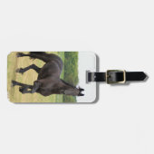 Étiquette À Bagage Étiquette frisonne de bagage de cheval (Devant horizontal)