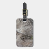 Étiquette À Bagage Étiquette magnifique de bagage d'éléphant (Devant Vertical)