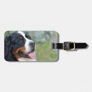 Étiquette À Bagage Étiquette mignonne de bagage de Bernese