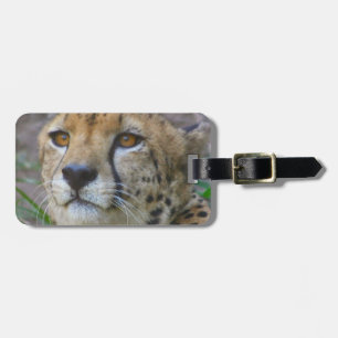 Étiquette À Bagage Étiquette sauvage de bagage de guépard