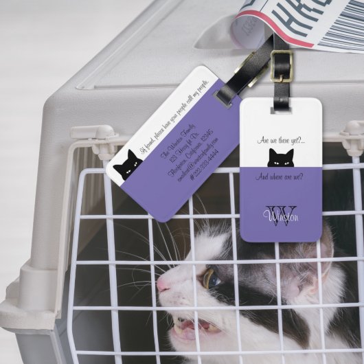 Étiquette À Bagage Étiquette Sneaky Chat Où sommes-nous? Étiquette Po