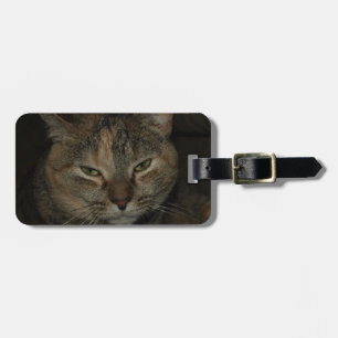 Étiquette À Bagage Étiquette somnolente de bagage de chat