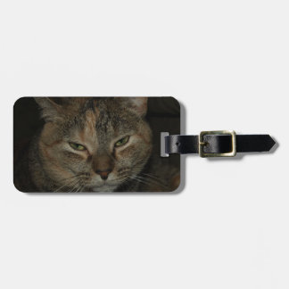 Étiquette À Bagage Étiquette somnolente de bagage de chat