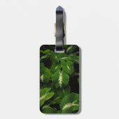 Étiquette À Bagage étiquette verte de bagage de taro de gecko (Dos Vertical)