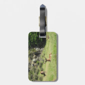 Étiquette À Bagage Étiquettes de la Nouvelle-Zélande (Dos Vertical)