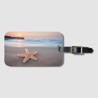 Étoile de mer allongée sur une plage