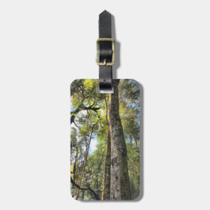Étiquette À Bagage Eucalyptus gommiers de la forêt pluviale australie