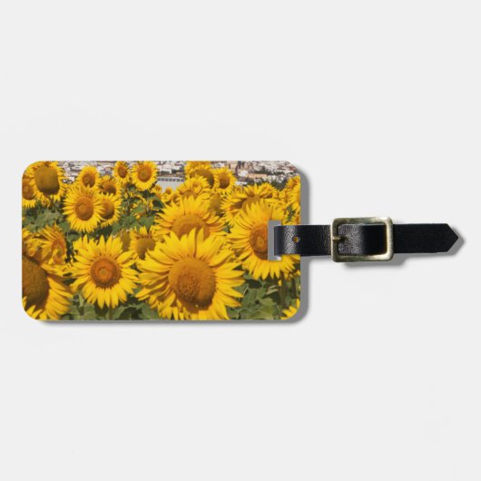 Étiquette À Bagage Europe, Espagne, Andalousie, province de Cadiz (Devant horizontal)