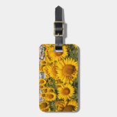 Étiquette À Bagage Europe, Espagne, Andalousie, province de Cadiz (Devant Vertical)