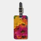 Étiquette À Bagage Faisceaux colorés (Devant Vertical)