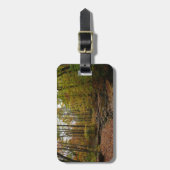 Étiquette À Bagage Fall Creek à Laurel Hill State Park Pennsylvania (Devant Vertical)