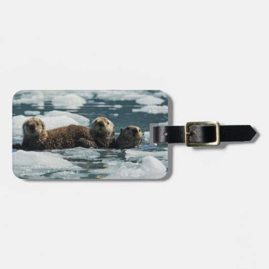 Étiquette À Bagage Famille de loutre de mer (Devant horizontal)