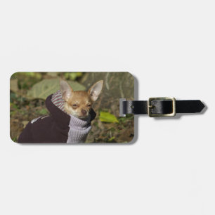 Étiquette À Bagage Fancy Chihuahua