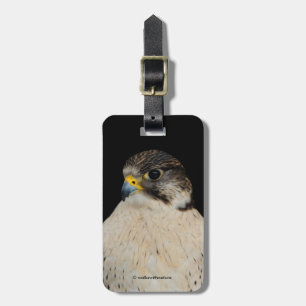 Étiquette À Bagage Faucon hybride Gyrfalcon Saker