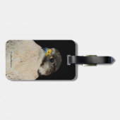 Étiquette À Bagage Faucon hybride Gyrfalcon Saker (Dos horizontal)