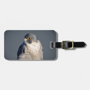 Étiquette À Bagage Faucon pèlerin le long de la rivière Hudson