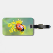 Étiquette À Bagage femme au sommet (Dos horizontal)