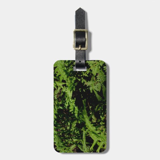 Étiquette À Bagage Fermes du plancher forestier (Devant Vertical)