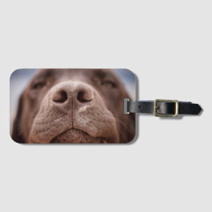 Étiquette À Bagage Fermeture du nez du Labrador au chocolat