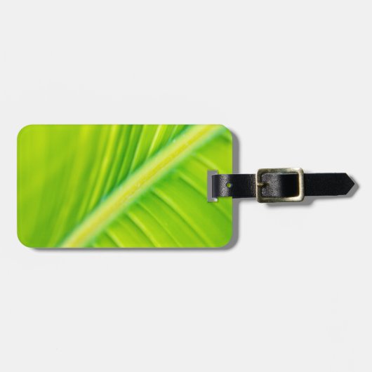 Étiquette À Bagage feuille de bananier vert (Devant horizontal)
