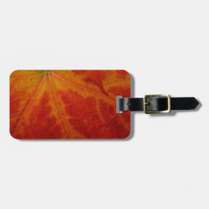 Étiquette À Bagage Feuille d'érable rouge Abstraite Automne Photograp