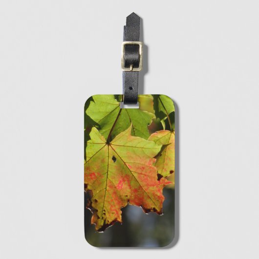 Étiquette À Bagage Feuilles de chute colorées (Devant Vertical)