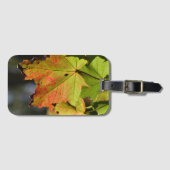 Étiquette À Bagage Feuilles de chute colorées (Devant Horizontal)
