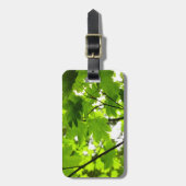 Étiquette À Bagage Feuilles d'érable avec Raindrops (Devant Vertical)