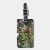 Étiquette À Bagage Fir buds (Devant Vertical)